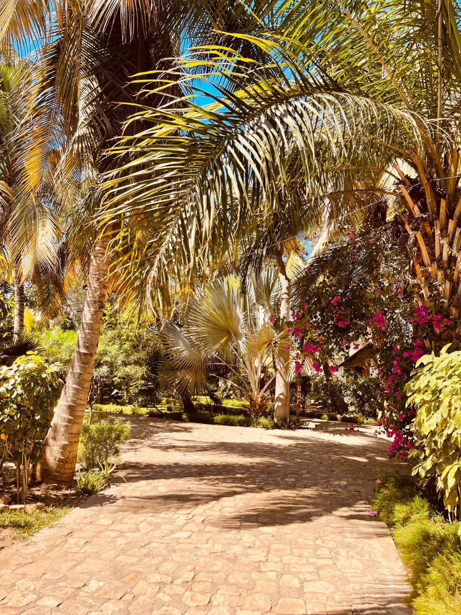 فندق Chez Alain توليارا الغرفة الصورة